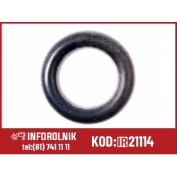 ORing 2 x 6mm  