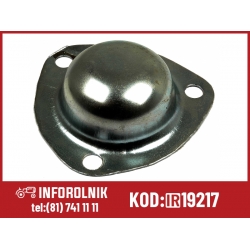 Kapsel piasty Case IH  713238R1 B507528 